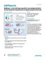 Thumbnail for version as of 06:17, 11 April 2026