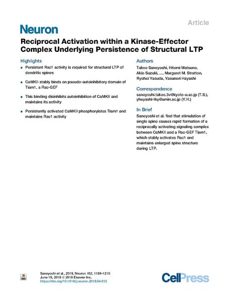 File:Page1-922px-Saneyoshi Neuron 2019.pdf.jpg