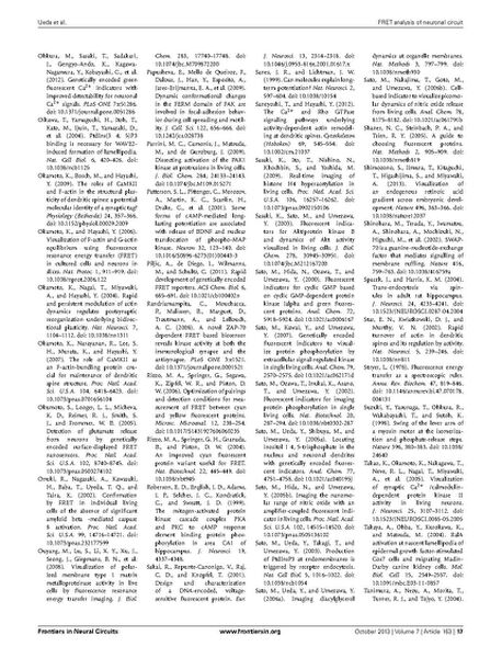 File:Page17-687px-Ueda Front Neural Circuits.pdf.jpg