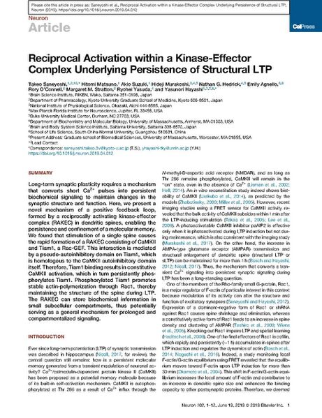 File:Page2-692px-Saneyoshi Neuron.pdf.jpg
