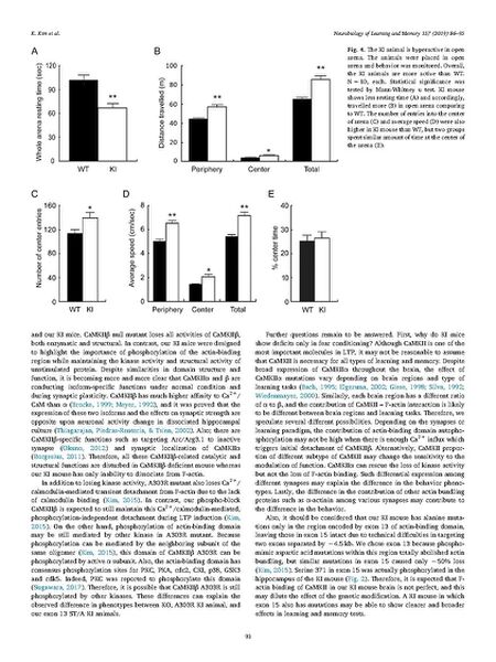 File:Page8-675px-Kim Neurobiol Learn Mem.pdf.jpg