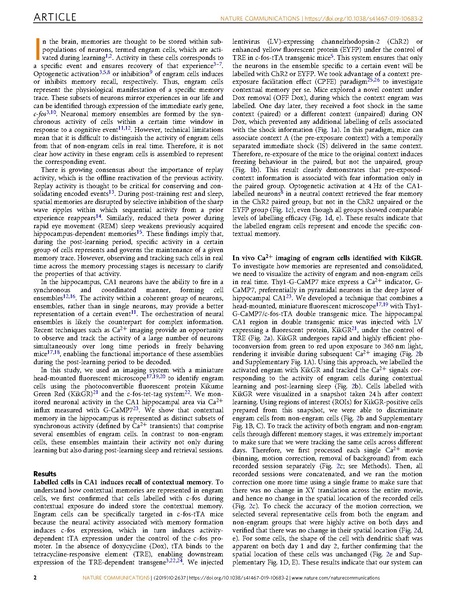 File:Ghandour Nat Commun 2019.pdf