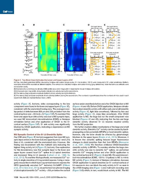 File:Page6-922px-Manita Neuron.pdf.jpg