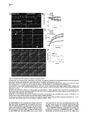 Thumbnail for version as of 06:18, 11 April 2026