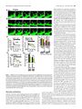 Thumbnail for version as of 06:18, 11 April 2026