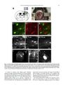 Thumbnail for version as of 06:17, 11 April 2026