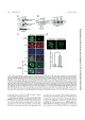 Thumbnail for version as of 06:17, 11 April 2026
