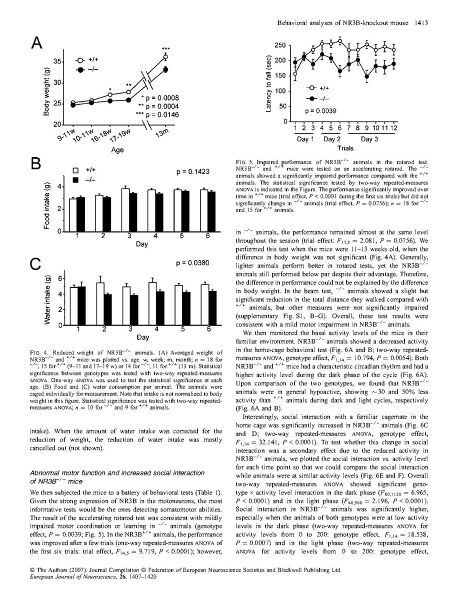 File:Page7-912px-Niemann Eur J Neurosci.pdf.jpg