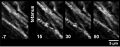 Thumbnail for version as of 06:17, 11 April 2026