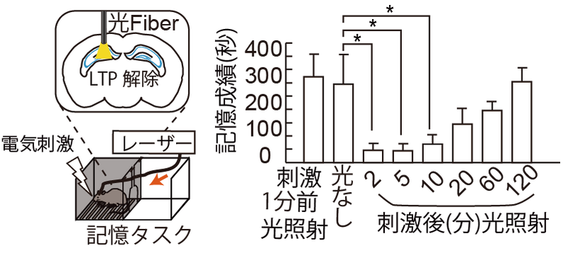 File:Goto Press Release Fig2.png