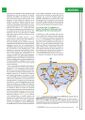 Thumbnail for version as of 06:18, 11 April 2026