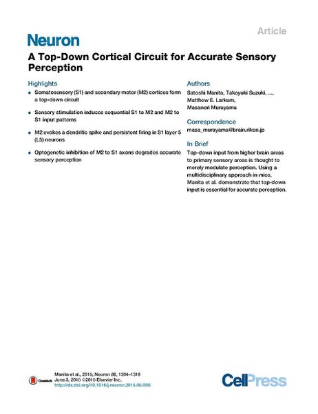 File:Page1-600px-Manita Neuron.pdf.jpg