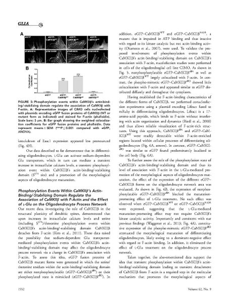 File:Page10-908px-Martinez-Lozada Glia.pdf.jpg