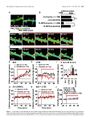 Thumbnail for version as of 06:18, 11 April 2026
