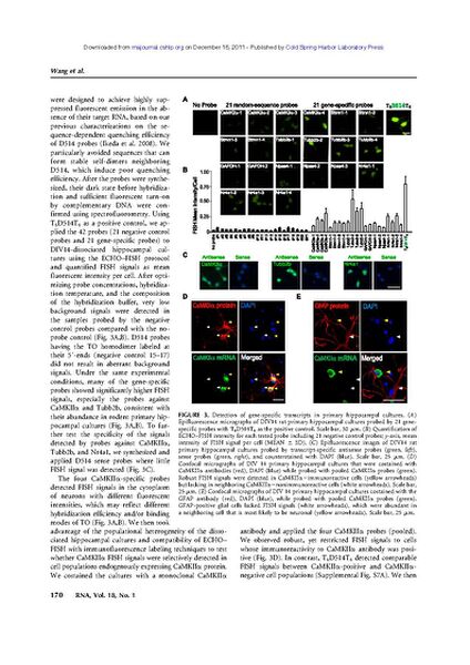File:Page5-635px-Wang rna.pdf.jpg