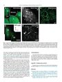 Thumbnail for version as of 06:17, 11 April 2026