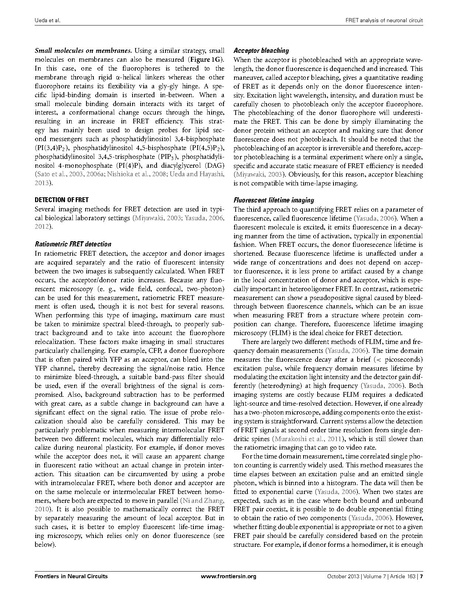 File:20250323102611!Ueda Front Neural Circuits.pdf