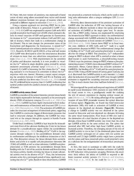 File:20250323102611!Ueda Front Neural Circuits.pdf