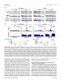 Thumbnail for version as of 06:17, 11 April 2026