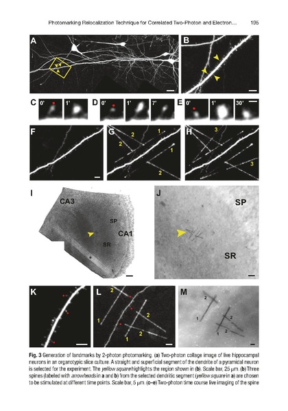 File:20250323102747!Bosch Methods Mol Biol.pdf