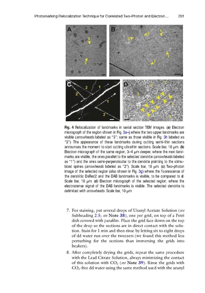 File:20250323102747!Bosch Methods Mol Biol.pdf