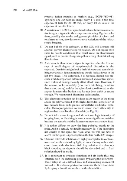 File:20250323102747!Bosch Methods Mol Biol.pdf