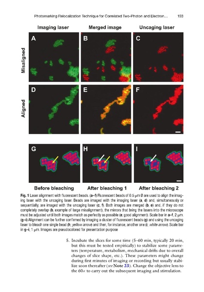 File:20250323102747!Bosch Methods Mol Biol.pdf