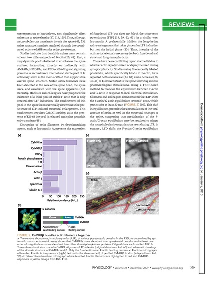 File:20250323102834!Okamoto Physiol.pdf
