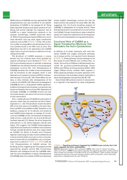 File:20250323102834!Okamoto Physiol.pdf
