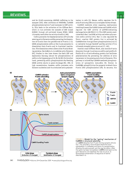 File:20250323102834!Okamoto Physiol.pdf