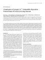 Thumbnail for version as of 06:18, 11 April 2026
