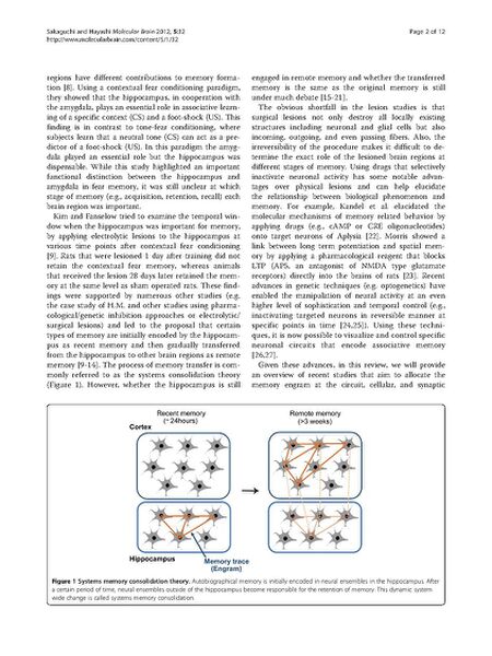 File:Page2-675px-Sakaguchi Mol Brain.pdf.jpg