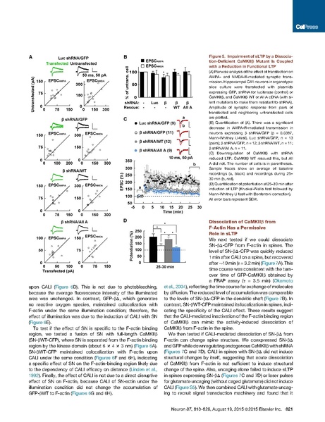 File:20250323102712!Kim Neuron.pdf