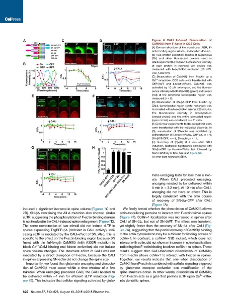 File:20250323102712!Kim Neuron.pdf