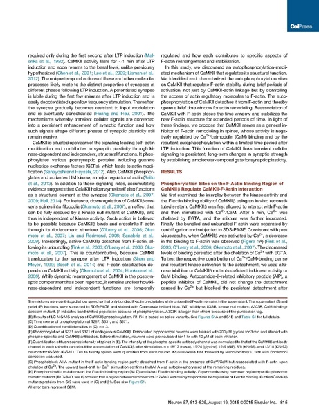 File:20250323102712!Kim Neuron.pdf