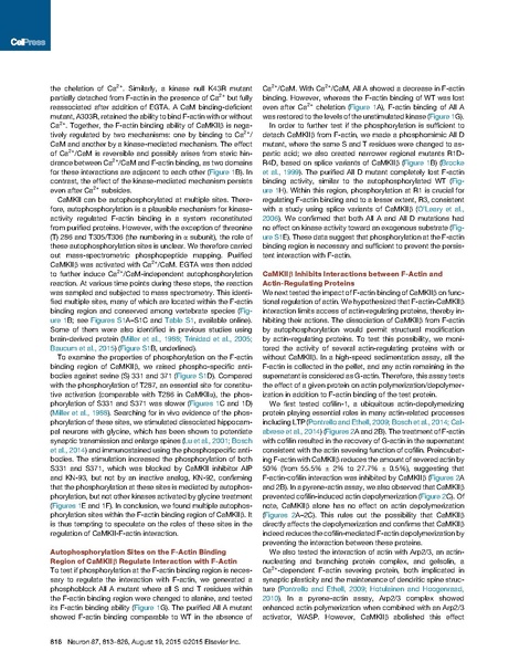 File:20250323102712!Kim Neuron.pdf