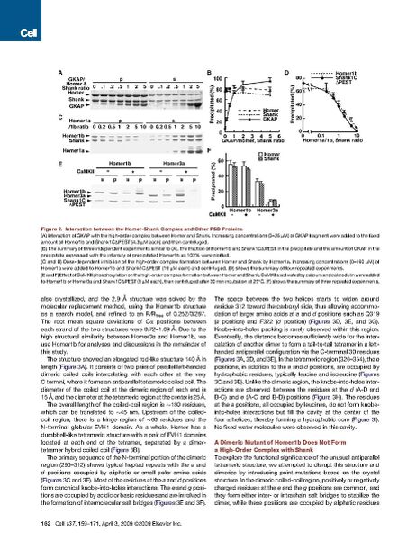 File:Page4-922px-Hayashi cell.pdf.jpg