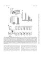 Thumbnail for version as of 06:17, 11 April 2026