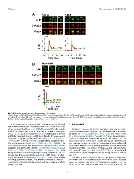 File:20250323102816!Hayashi Neurosci Res 2022.pdf