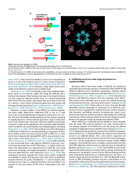 File:20250323102816!Hayashi Neurosci Res 2022.pdf