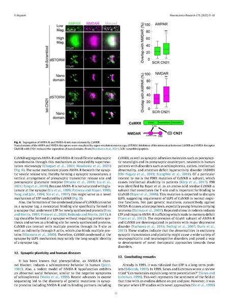 File:20250323102816!Hayashi Neurosci Res 2022.pdf