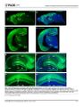 Thumbnail for version as of 06:17, 11 April 2026
