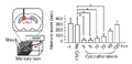 Thumbnail for version as of 06:18, 11 April 2026