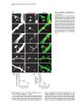 Thumbnail for version as of 06:17, 11 April 2026