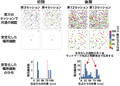 Thumbnail for version as of 06:17, 11 April 2026