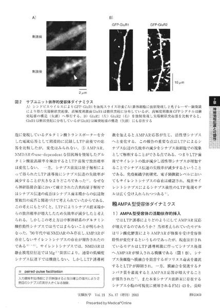 File:Futai Jikkennigaku 2003.pdf
