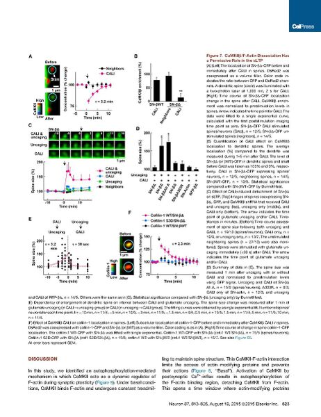 File:Page12-922px-Kim Neuron.pdf.jpg