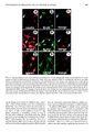 Thumbnail for version as of 06:17, 11 April 2026
