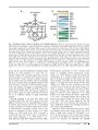 Thumbnail for version as of 06:17, 11 April 2026
