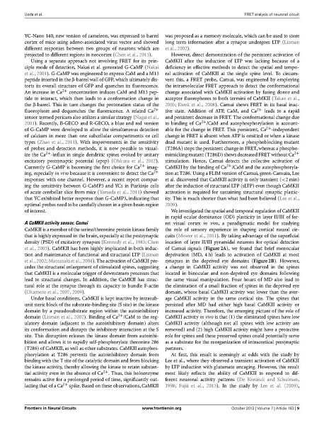File:Page9-916px-Ueda Front Neural Circuits.pdf.jpg